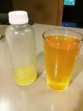 Fermentation of apple juice