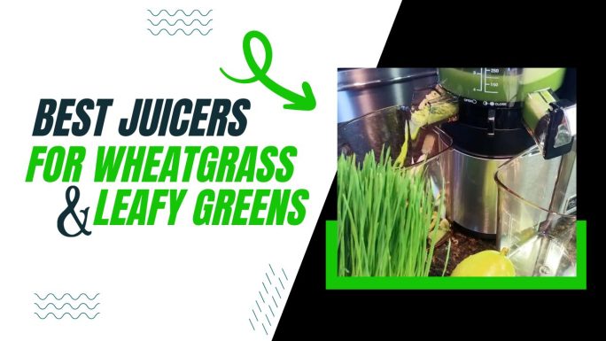 Best Juicer For Wheatgrass and Leafy Greens